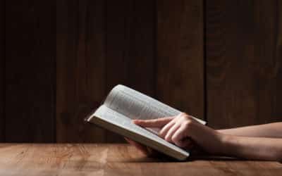 Reformed: Defined by Thomas Wilson